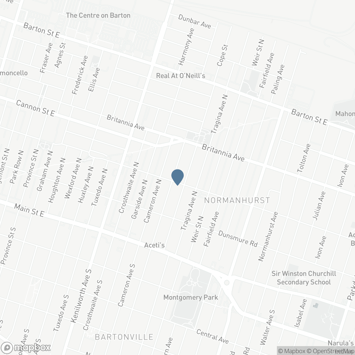116 BARONS AVENUE N, Hamilton, Ontario L8H 5A7